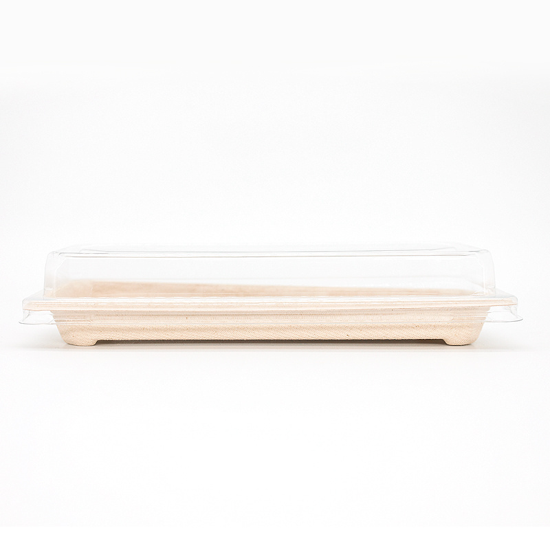 Biodegradable Bagasse Pulp Paper Tray Disposable Rectangular Sushi Plates For Restaurant