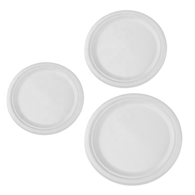 SUMKOKA 6 7 9 10 Inch Disposable Dinner Paper Dish Biodegradable Sugarcane Bagasse Plates For Party Wedding