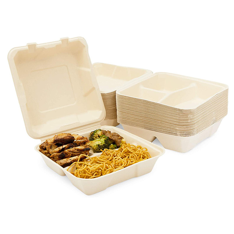 Biodegradable Food Container 8 Inch 3 Compartment Sugarcane Clamshell Disposable Takeaway Bagasse Lunch Box