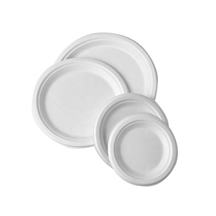 SUMKOKA 6 7 9 10 Inch Disposable Dinner Paper Dish Biodegradable Sugarcane Bagasse Plates For Party Wedding