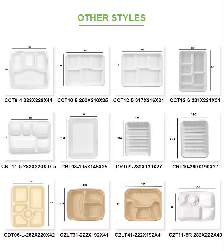 100% Sugarcane Bagasse Pulp Safe Environmentally Friendly Refrigerator Used Disposable Tray with Lid