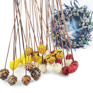 summer flora Instagram natural dried bouquet for home Christmas  Decoration dried flower pine cone