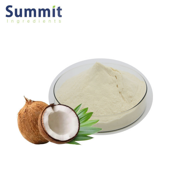 High quality 101 coconut milk powder coconut fruit extract powder coconut powder