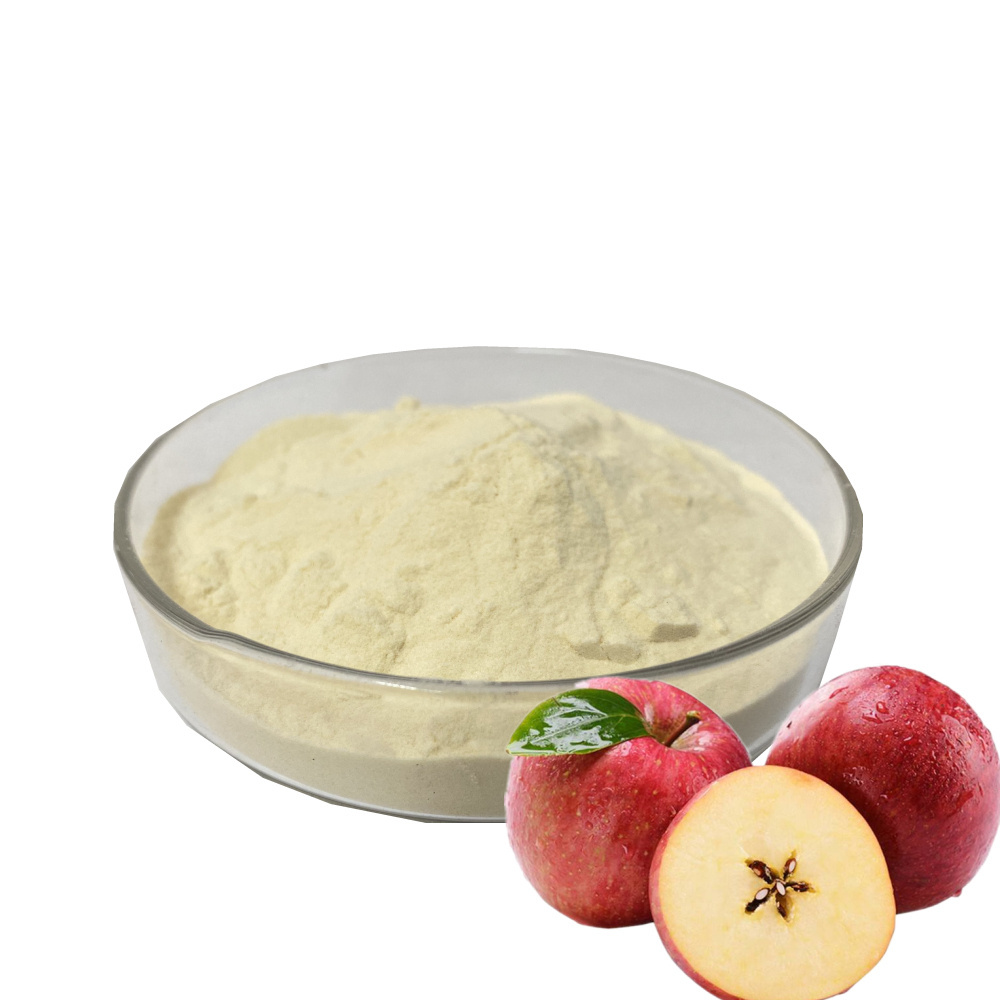 High quality apple powder apple juice powder apple fruit powder