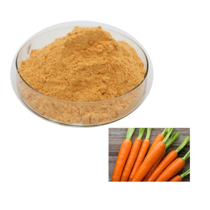 Bulk Price Good Taste Purity Carrot Juice Powder Carrot Powder Carrot Fruit Powder