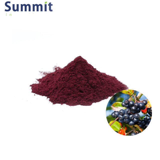 High Quality Aronia Berry Extract Powder chokeberry powder Aronia Powder