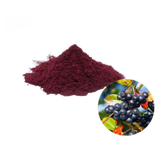 High Quality Aronia Berry Extract Powder chokeberry powder Aronia Powder