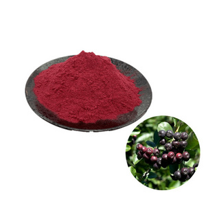 High Quality Aronia Berry Extract Powder chokeberry powder Aronia Powder