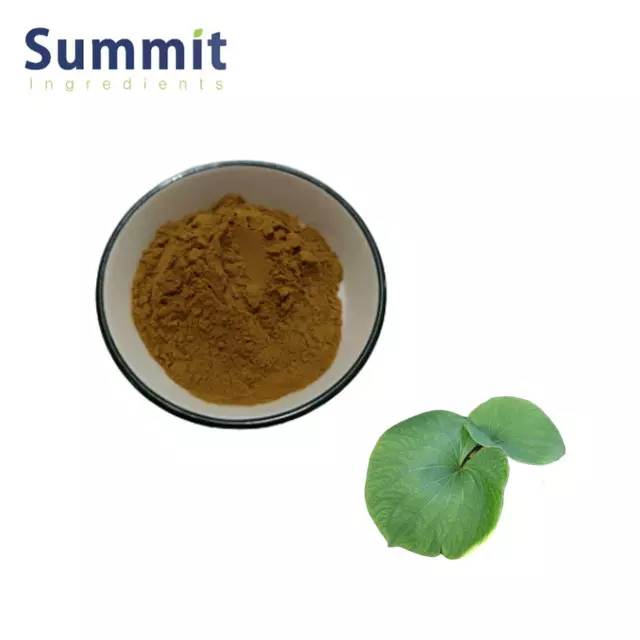 Wholesale kava root powder kava extract powder Kava Extract 30% kavalactones kava root extract powder