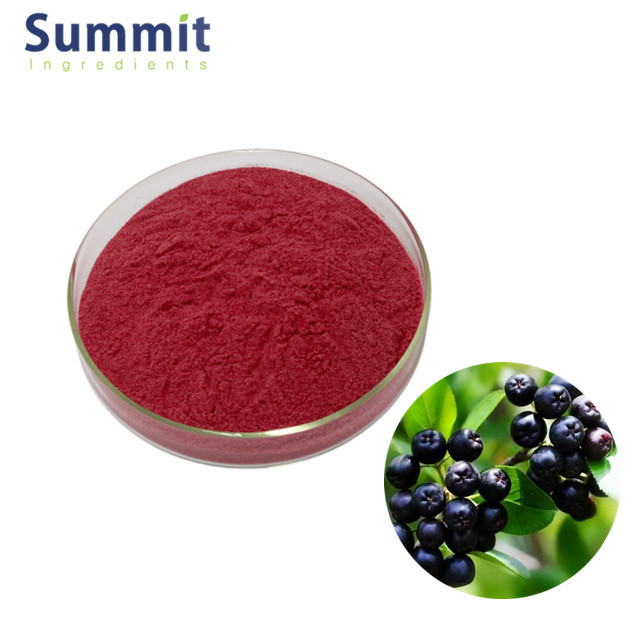 High Quality Aronia Berry Extract Powder chokeberry powder Aronia Powder