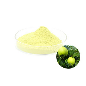 Top Quality food grade  Green Apple Fruit Extract 50%pholyphenol Powder Green Apple Extract powder