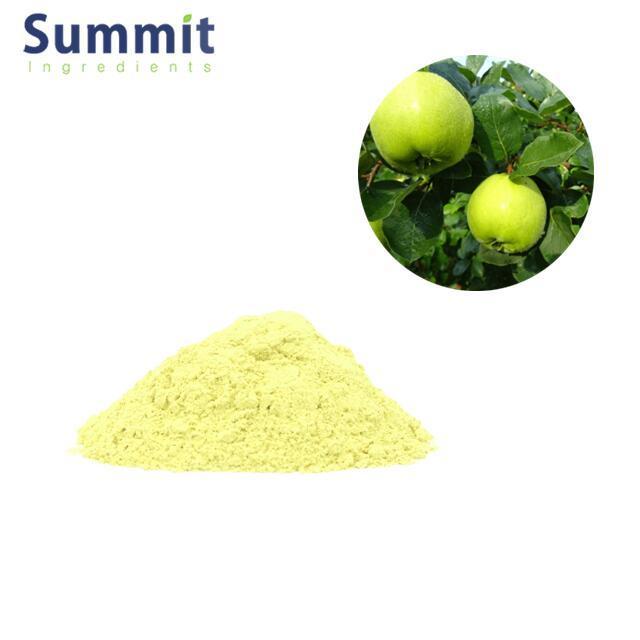 Top Quality food grade  Green Apple Fruit Extract 50%pholyphenol Powder Green Apple Extract powder