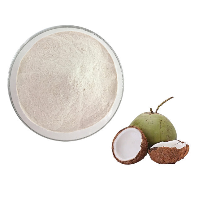 High quality 101 coconut milk powder coconut fruit extract powder coconut powder