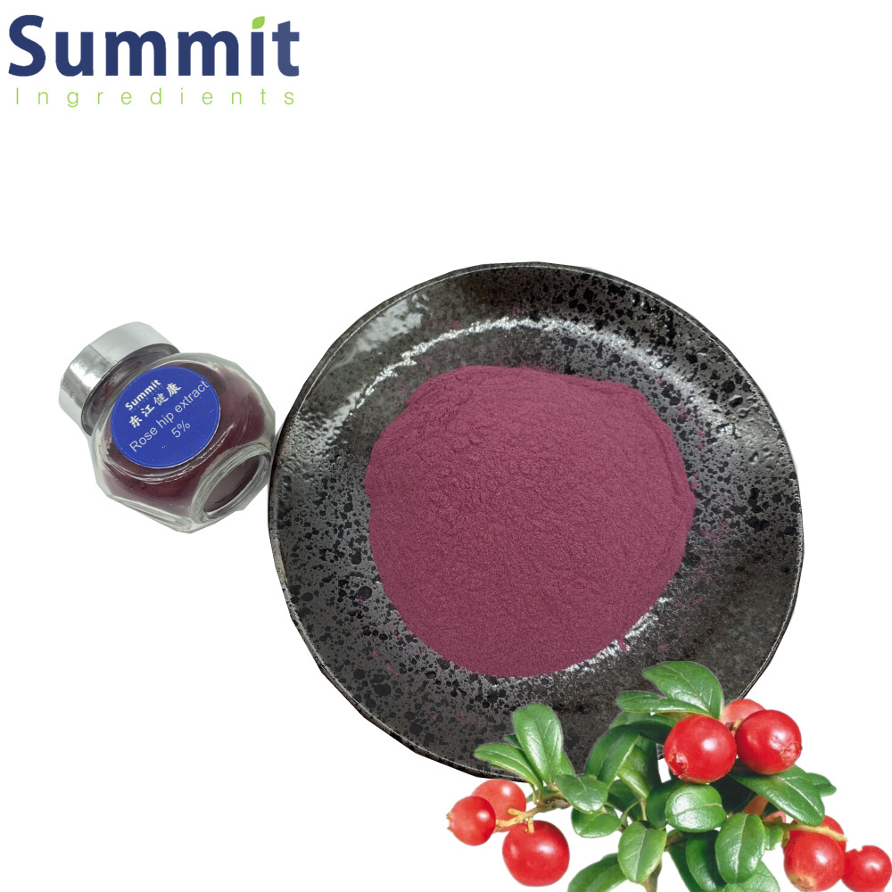 High quality rosehip extract powder Rose hip extract rosehip powder