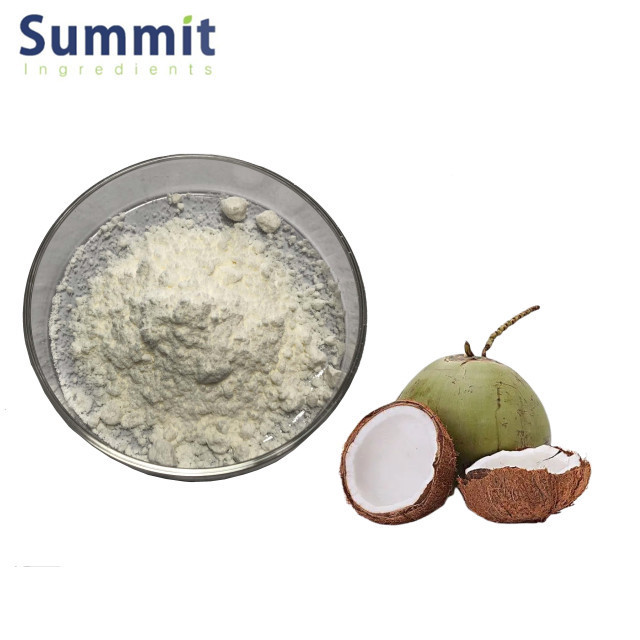 High quality 101 coconut milk powder coconut fruit extract powder coconut powder