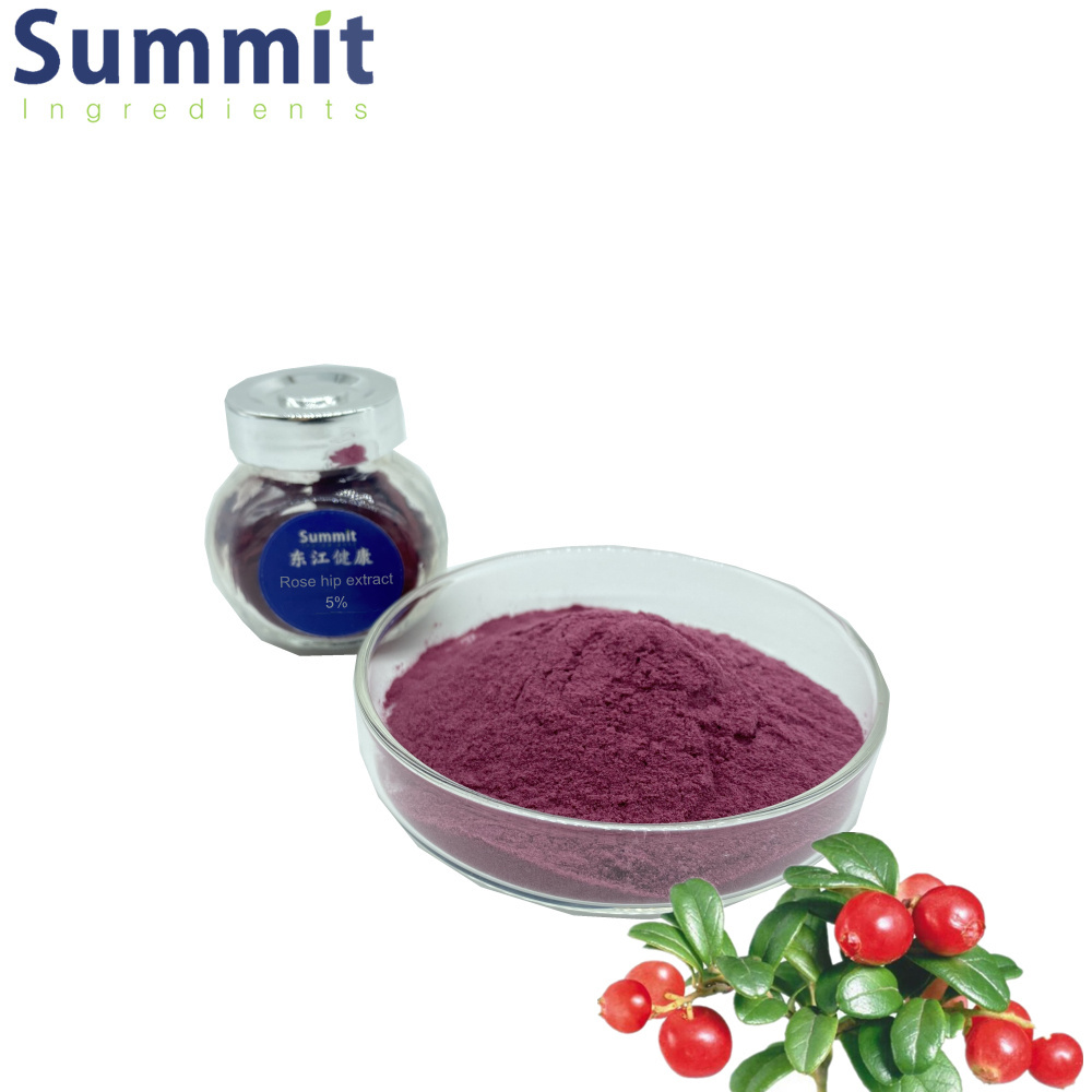 High quality rosehip extract powder Rose hip extract rosehip powder