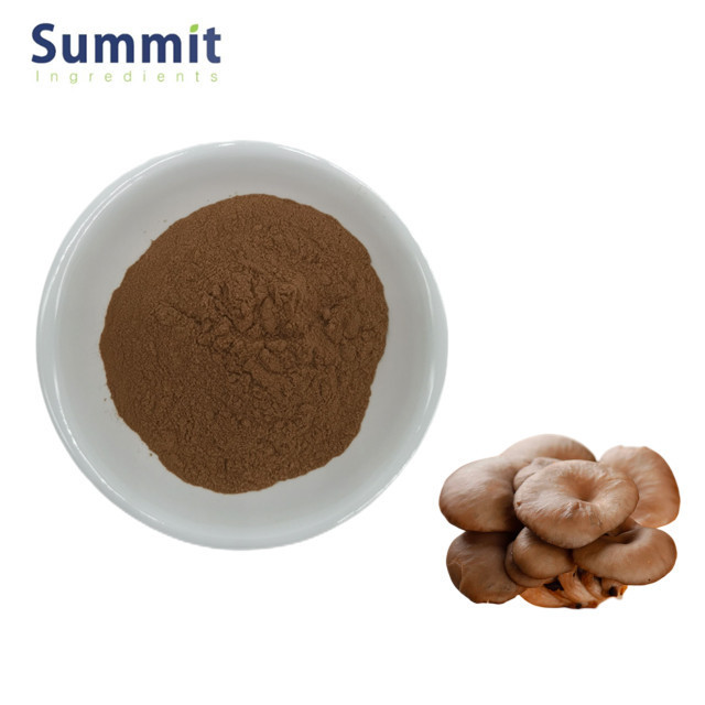 Hot sale Oyster Mushroom Extract powder 35% Glucan Oyster Mushroom extract Glucan Powder Oyster Mushroom Extract