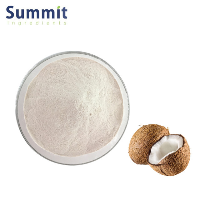 High quality 101 coconut milk powder coconut fruit extract powder coconut powder