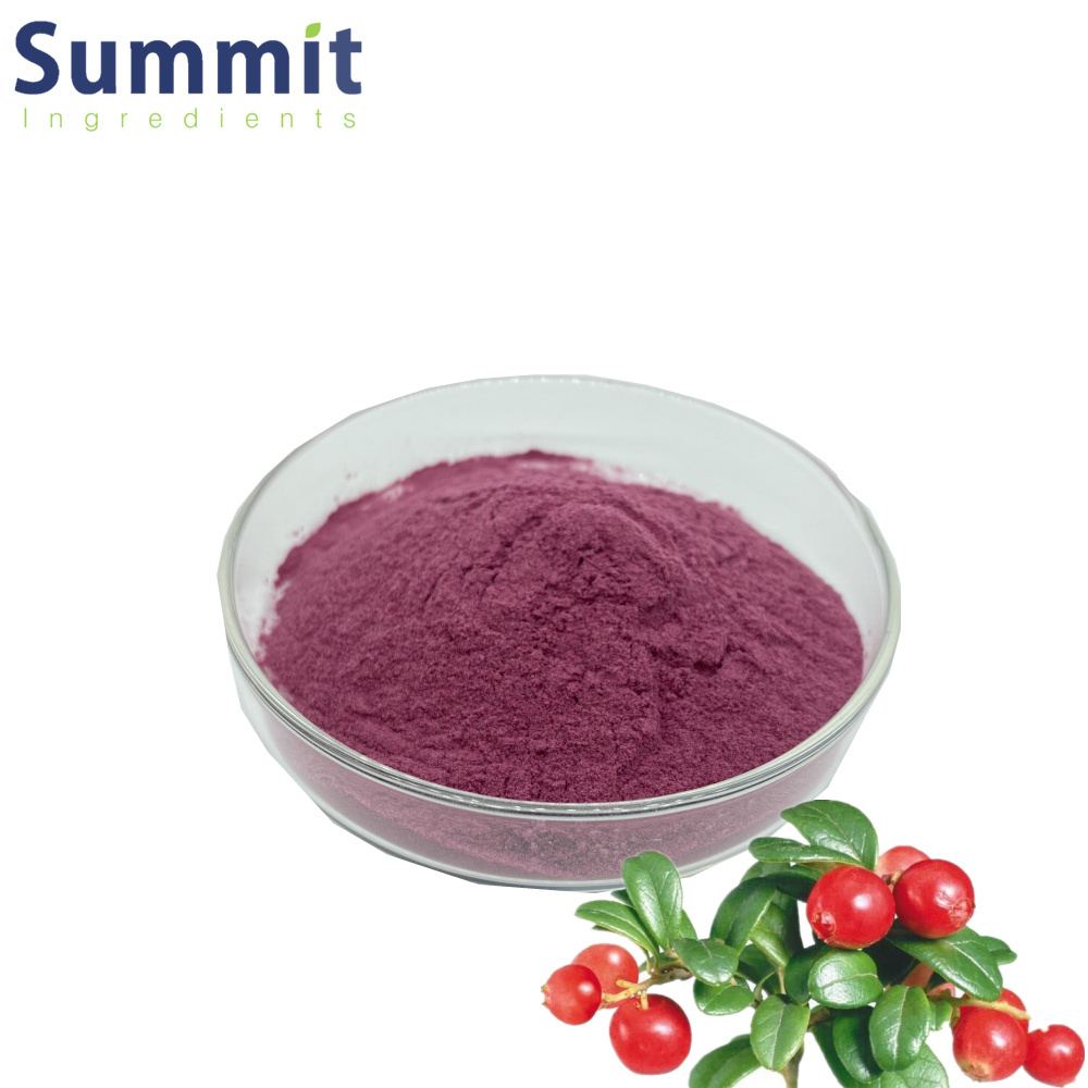 High quality rosehip extract powder Rose hip extract rosehip powder