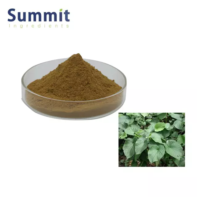 Wholesale kava root powder kava extract powder Kava Extract 30% kavalactones kava root extract powder