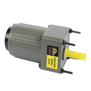 Best micro AC gear motor  single phase motor 110v/220v high speed motor With gear reduction