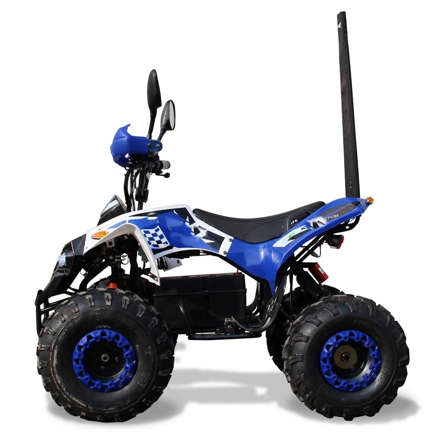 1KW 48V 60V teen electric ride on ATV kids electric ATVs