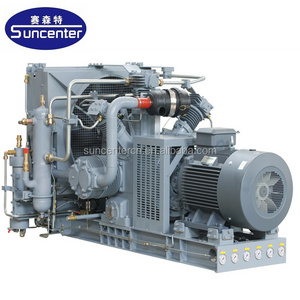 natural gas compressor gas powered air compressor CNG natural gas compressor for CNG filling station