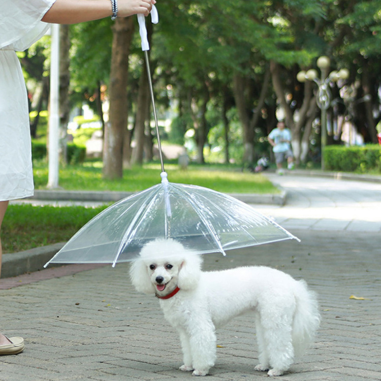 Outdoor Folding Rainproof Transparent Leash Pug Dog Umbrella For Pet