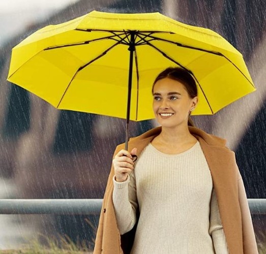 Windproof Travel - Wind Resistant, Small - Compact, Light, Strong Steel Shaft, Mini, Folding and Portable Umbrella Automatic