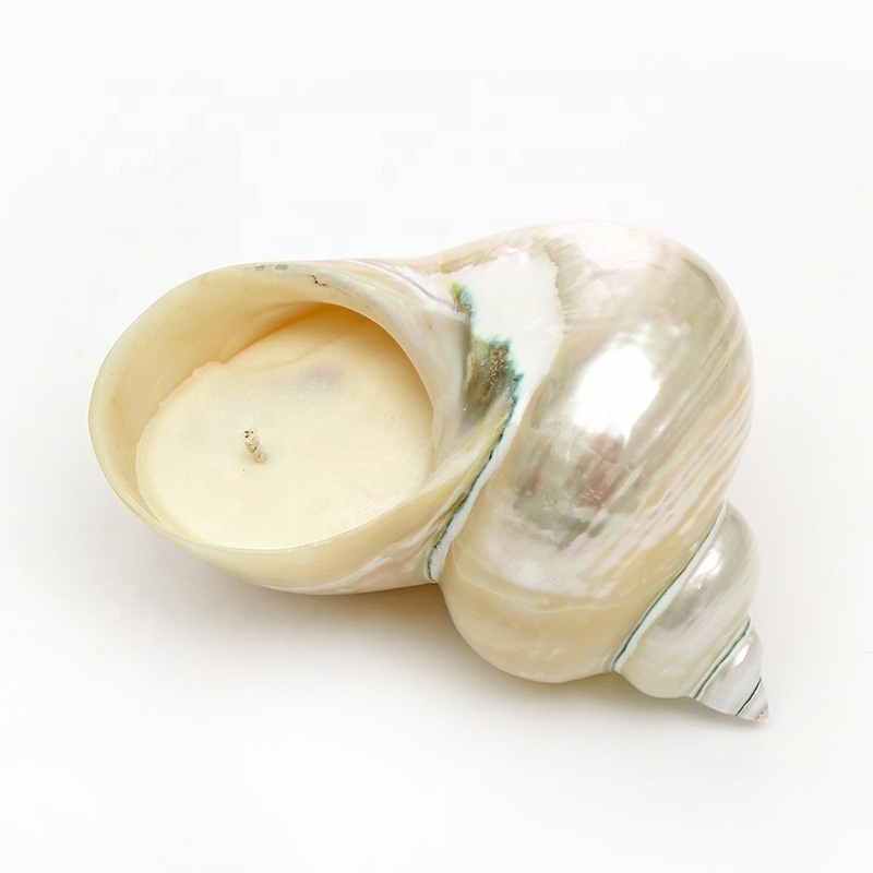 Aromatherapy Essential Oil Candle Smokeless Soy Wax Creative Shell Gift Decorative Candle