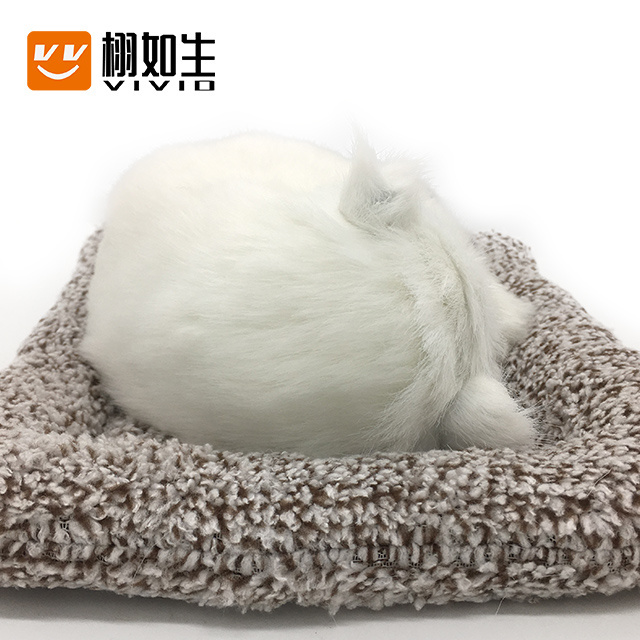 Plush Toy Perfect Petzzz High Quality Realistic Simulation Cat Fur Decorative Natural White Cat Animated Unisex Sunflower 1 PC