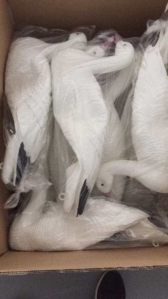 Wholesale Price Custom Very Lifelike Hunting Snow Goose Decoys