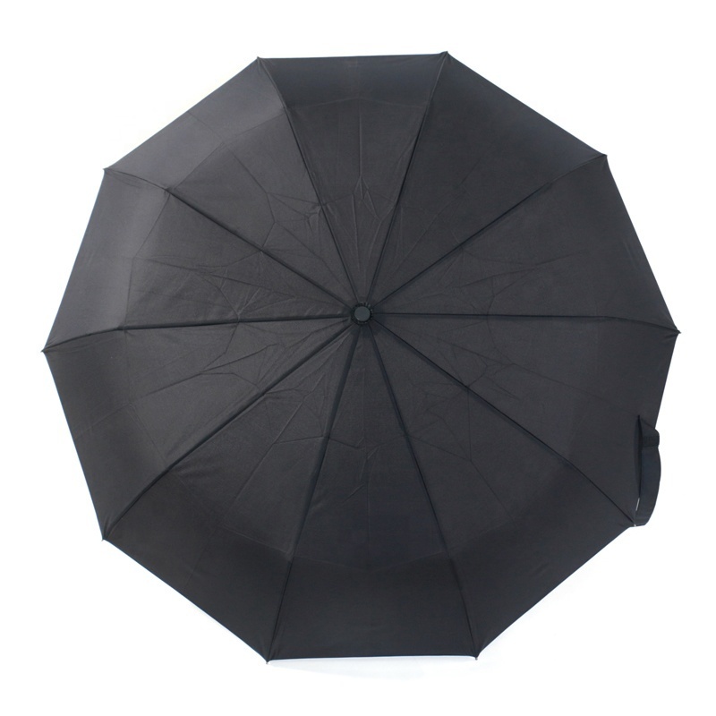 SUNFOO 10 Panel Automatic Wind Resistant Waterproof Travel Folding Umbrella