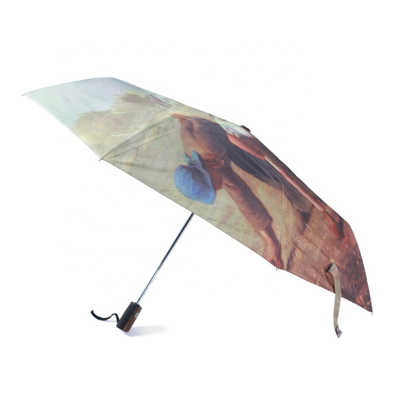 Fully-Automatic Easy Touch Open Close Full Color Paint Print Windproof and Anti-UV Travel Umbrella for Rain