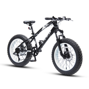 TXED MTB new model mountain snow Bike With Fat Tire mountain bicycle