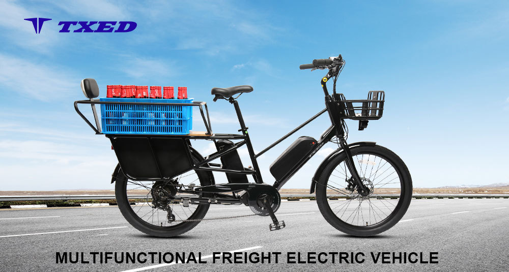 TXED 2 Whee long tail with basket adult city fashion fat tire motor 500w 750w ebike e-cargo family e bicycle electric cargo bike