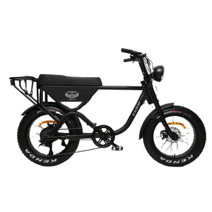 TXED 20 Inch fat tire e bike 500w high power motor ebike with rear motor