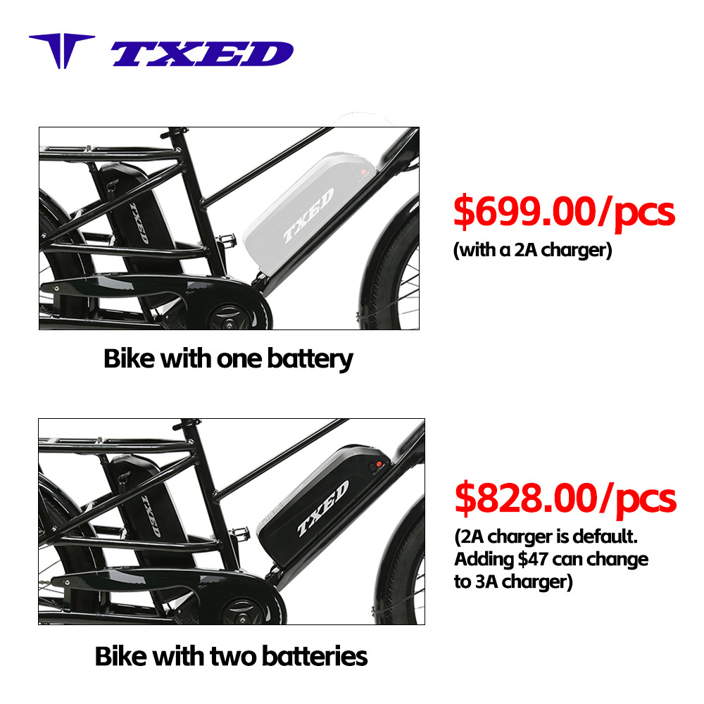 TXED 2 Whee long tail with basket adult city fashion fat tire motor 500w 750w ebike e-cargo family e bicycle electric cargo bike