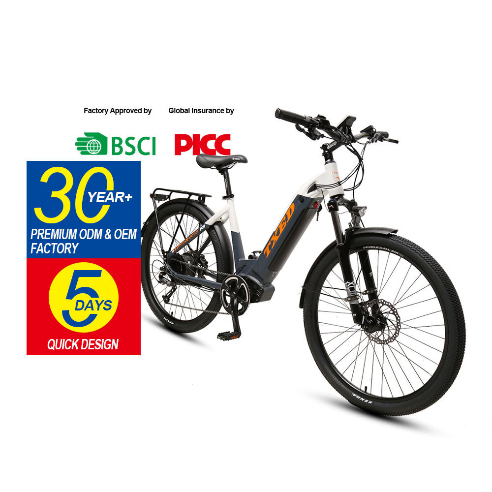 TXED 36V 250W Hidden battery electric bike Electric bicycle ladies E bike citybike