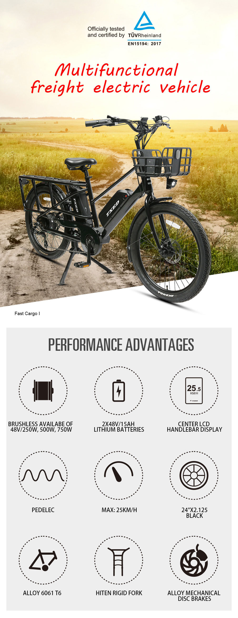 TXED 2 Whee long tail with basket adult city fashion fat tire motor 500w 750w ebike e-cargo family e bicycle electric cargo bike