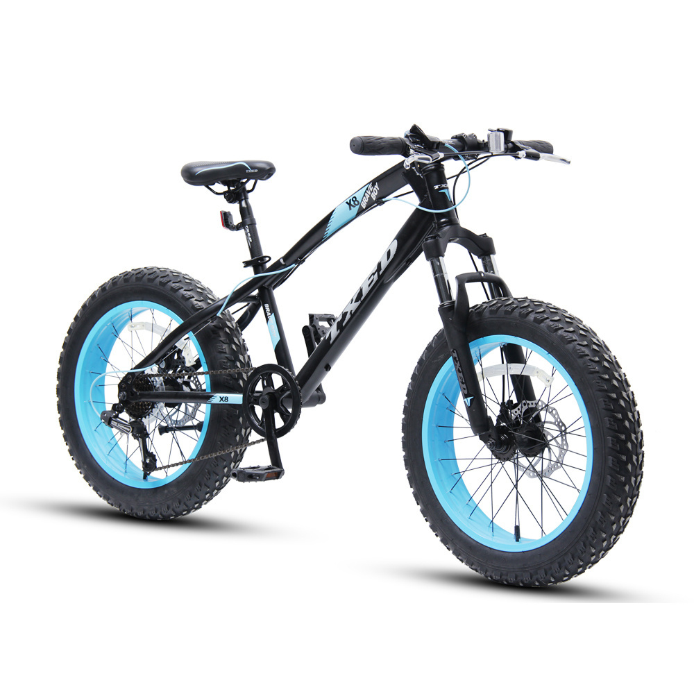 TXED MTB new model mountain snow Bike With Fat Tire mountain bicycle