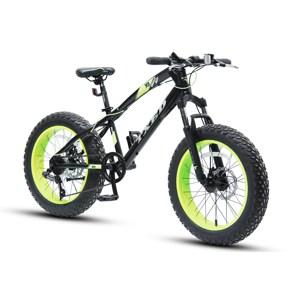 TXED MTB new model mountain snow Bike With Fat Tire mountain bicycle