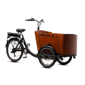 TXED New design 3 wheel ebike 20inch 36V/250 motor with rain-cover electric cargo tricycle