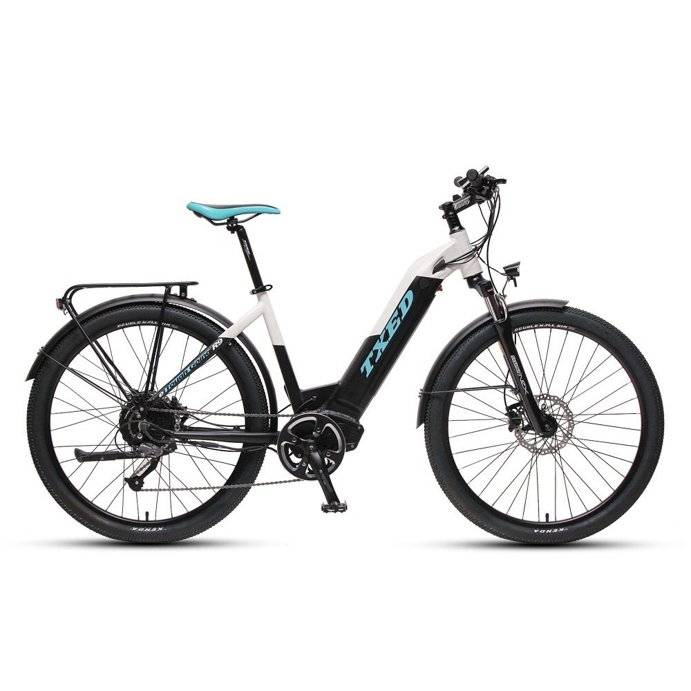 TXED 36V 250W Hidden battery electric bike Electric bicycle ladies E bike citybike