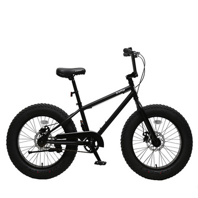 TXED Fat Tire 20 Inch BMX Bicycle