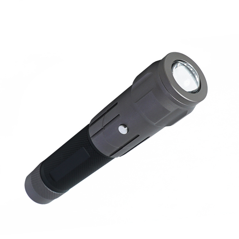 Customized OEM 450nm 620nm 670nm 810nm 4 Wavelengths LED Light Torch Near Infrared Red Light Therapy Pen