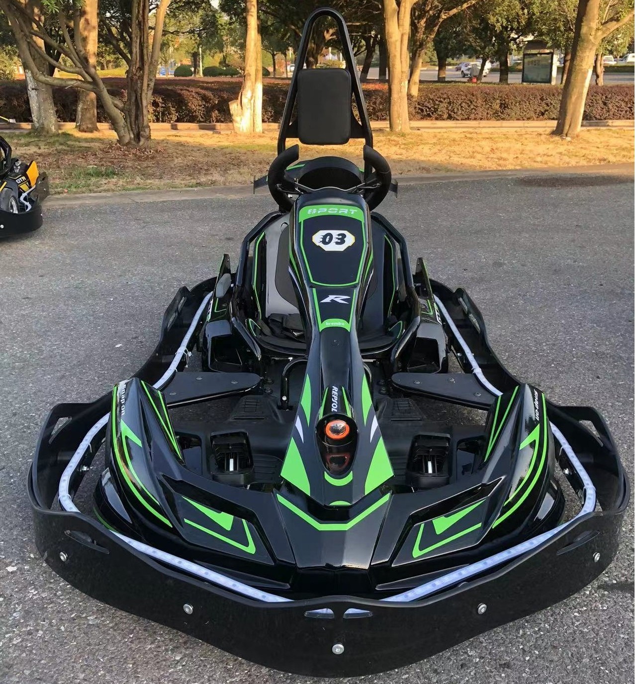 Hot Sale Go Kart Pro high speed kids racing go karting adult racing go kart for sale max speed 37km/h Go Kart Kit