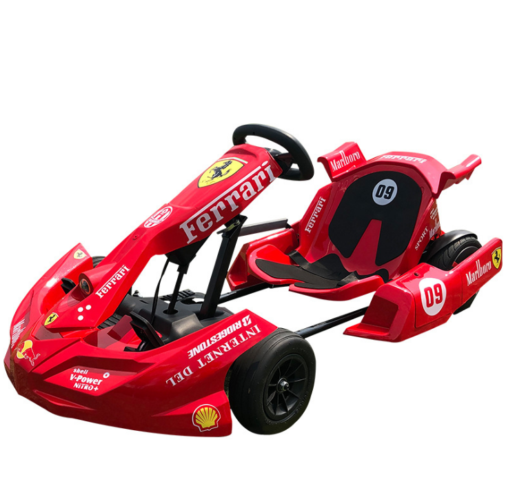 2021new 250W*2  54V new professional racing go kart electric go kart 250cc go kart sale