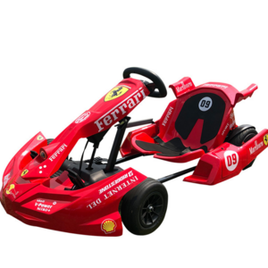 2021new 250W*2  54V new professional racing go kart electric go kart 250cc go kart sale