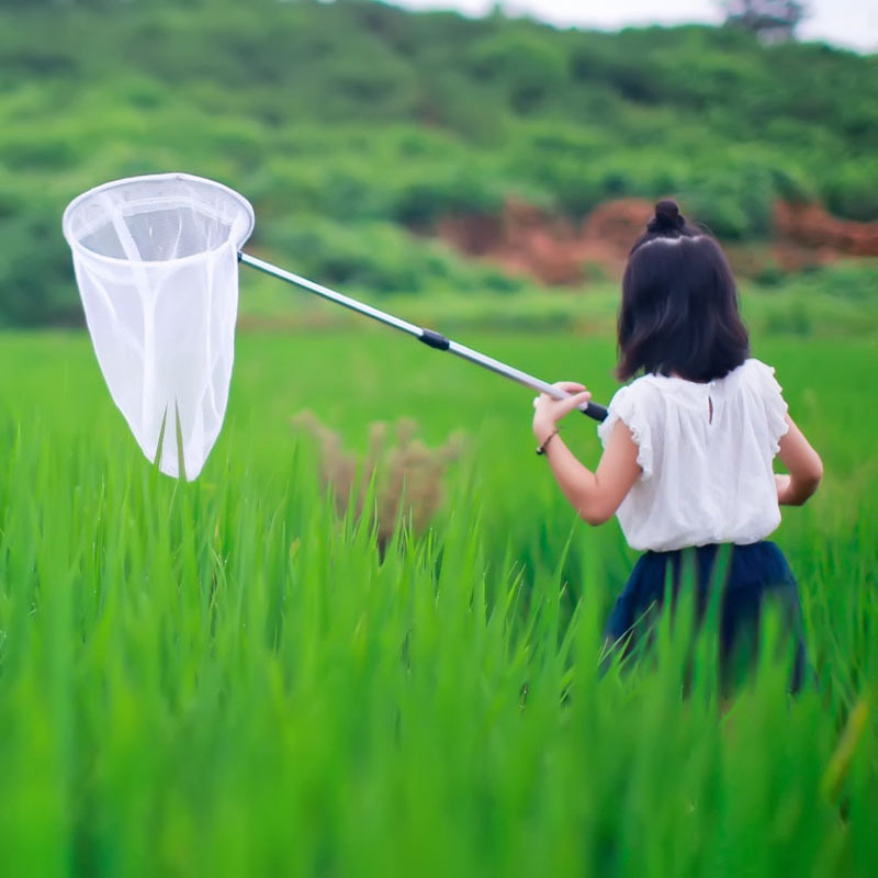 Hot Sales Aluminium Alloy Telescopic Handle Kids Fishing Landing Net for Catching Fish Insect